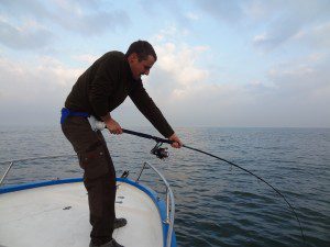 Votre guide pêche méditerranée