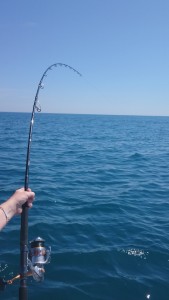 Pêche à la ligne méditerranée