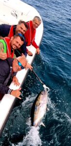 Capture d'un thon lors d'une journée de pêche en mer. le thon est un poisson de choix lors des sortie de pêche au gros