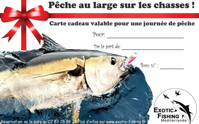 carte cadeau une journée de pêche au thon