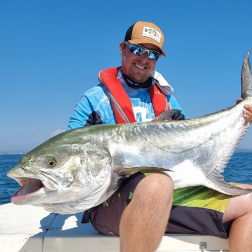 Liche pêchée lors d'une Pêche en Méditerranée