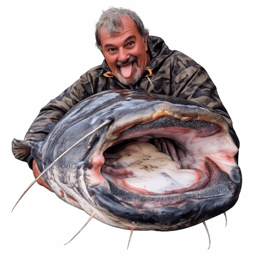 ChatGPT Image 4 févr. 2026, 19_08_45